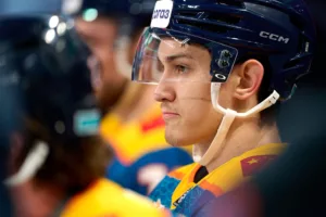 Владислав Леонтьев